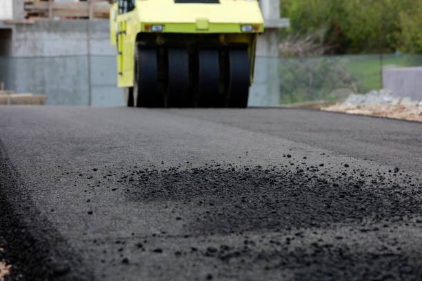 Best Driveway Paving Contractor  in Oelwein, IA